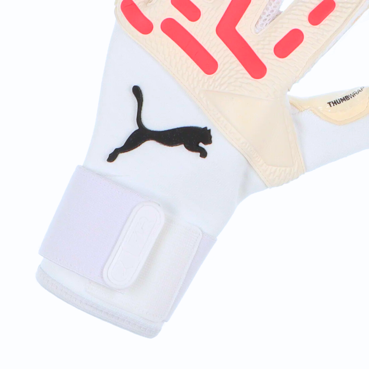 Rękawice bramkarskie Puma Future Pro Hybrid 041842-04