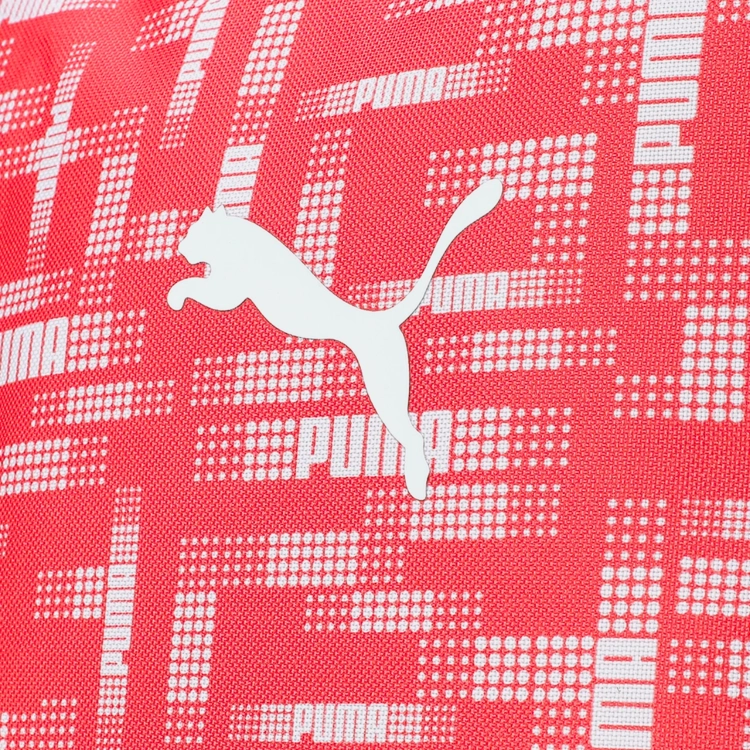 Plecak Puma Beta Backpack 20L.png